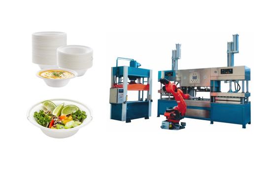 4000~6000 pcs/hour virgin pulp 원료용 종이 펄프 폼 머신